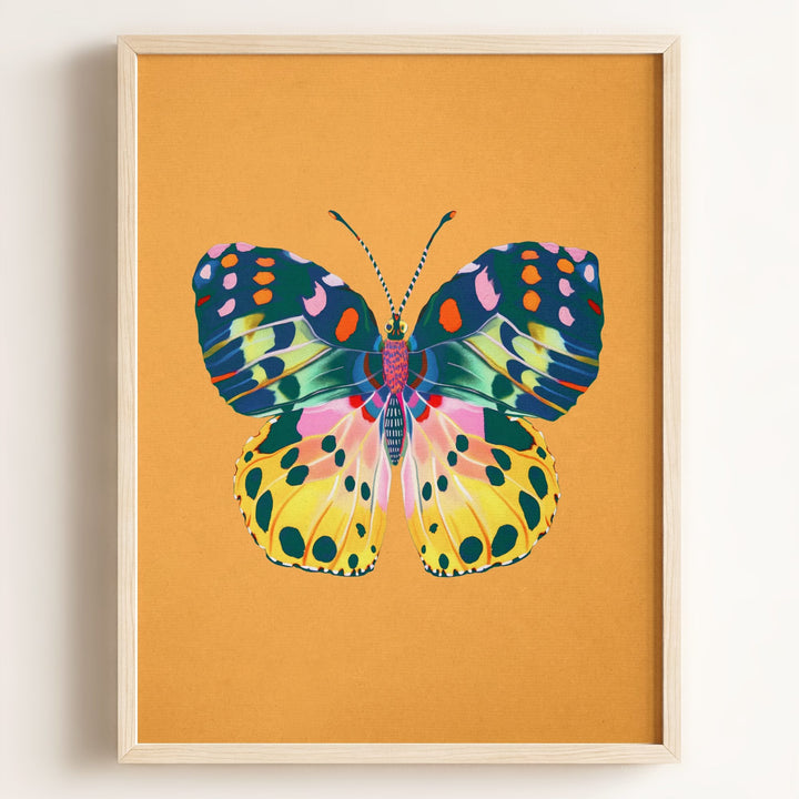 Color Bloom Butterfly Collection