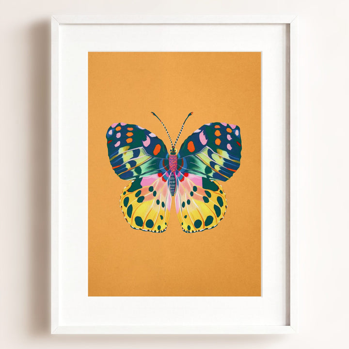 Color Bloom Butterfly Collection