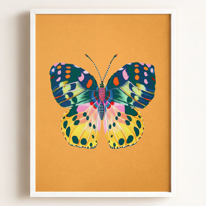 Color Bloom Butterfly Collection