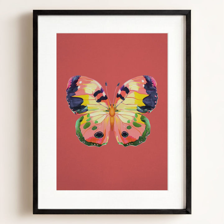 Color Bloom Butterfly Collection