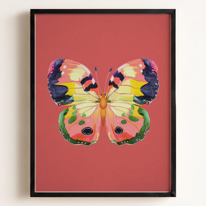 Color Bloom Butterfly Collection