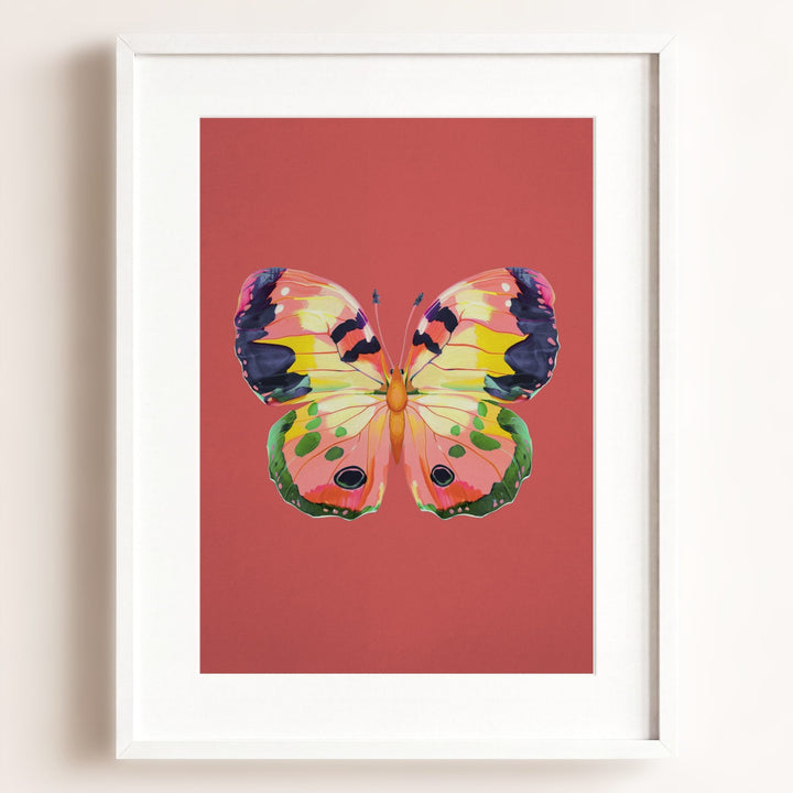Color Bloom Butterfly Collection