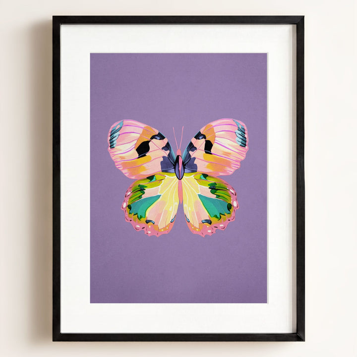 Color Bloom Butterfly Collection