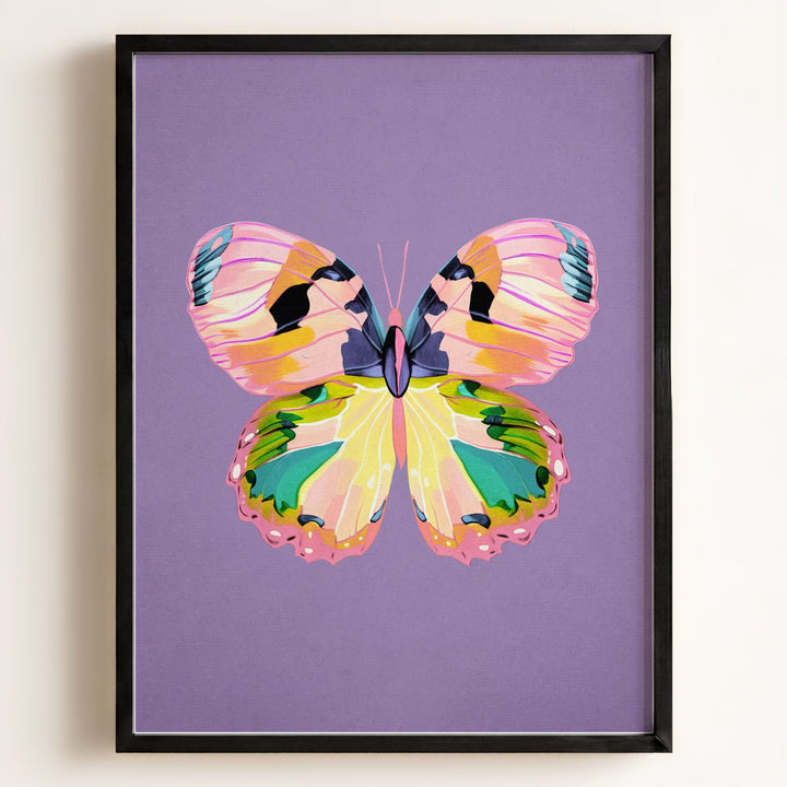 Color Bloom Butterfly Collection