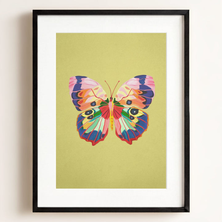 Color Bloom Butterfly Collection