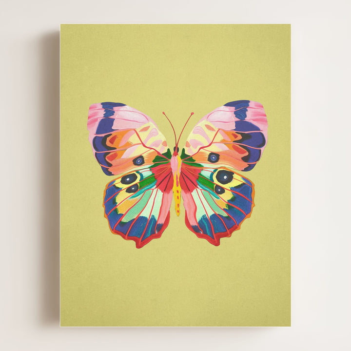 Color Bloom Butterfly Collection