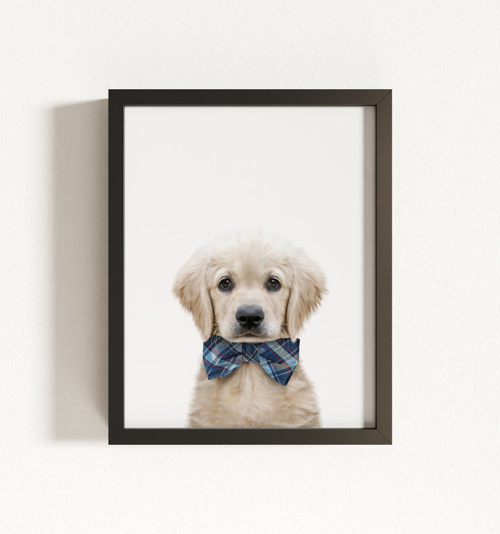 Baby Puppy Golden Retriever Portrait Framed Art