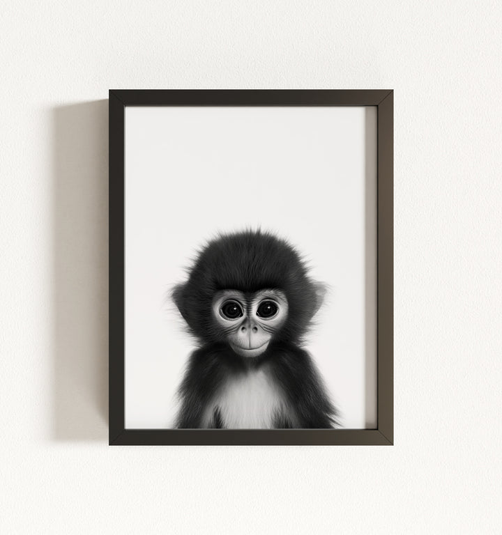 Baby Monkey Framed Art