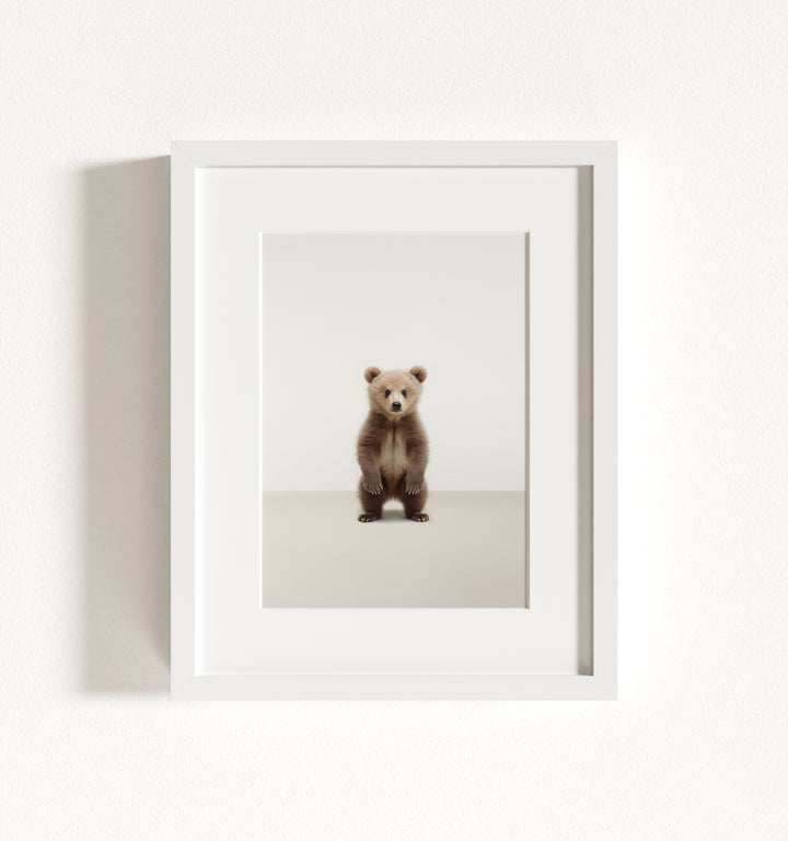Studio Bear Framed Art
