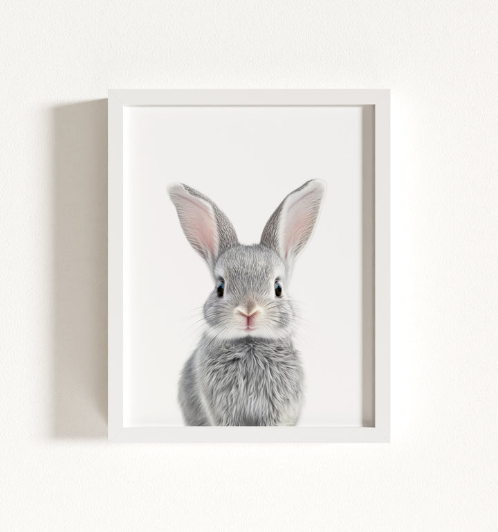 Baby Rabbit Framed Art