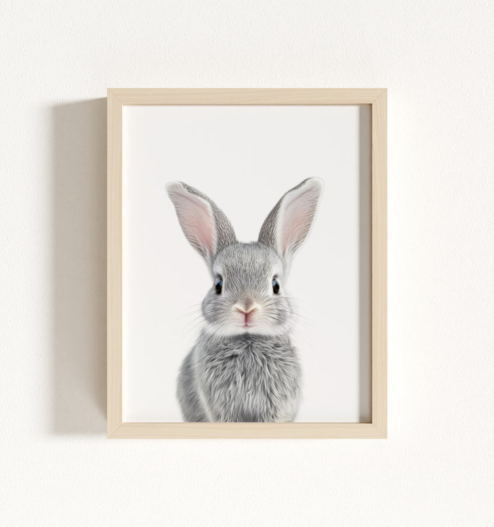 Baby Rabbit Framed Art