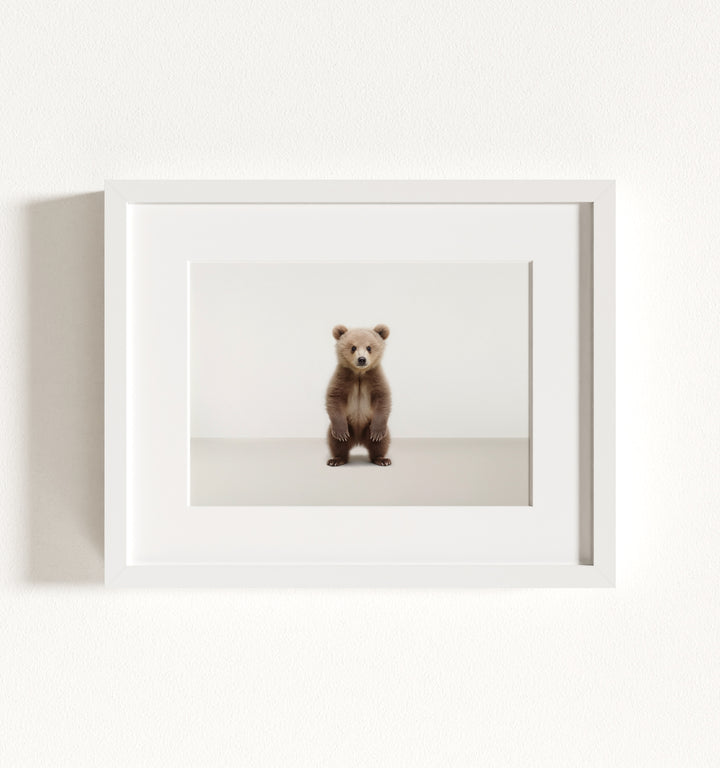 Studio Bear Framed Art