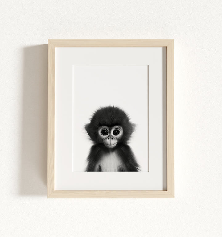Baby Monkey Framed Art