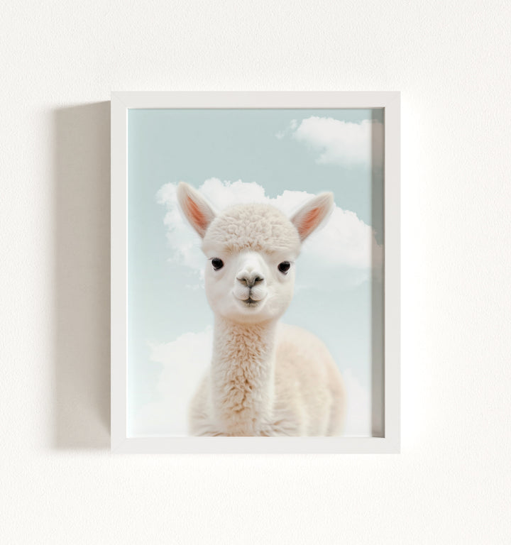 Baby Alpaca Framed Art
