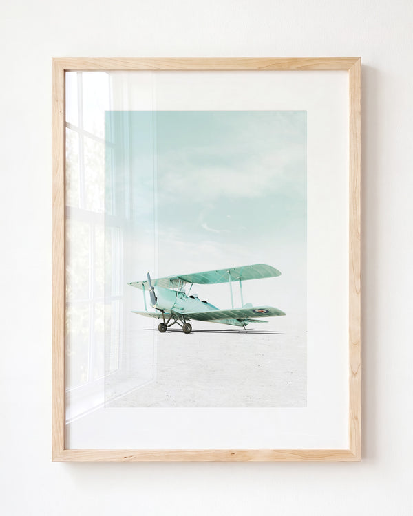 De Havilland Tiger Moth Airplane — Framed