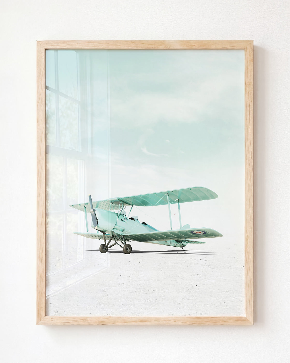 De Havilland Tiger Moth Airplane — Framed