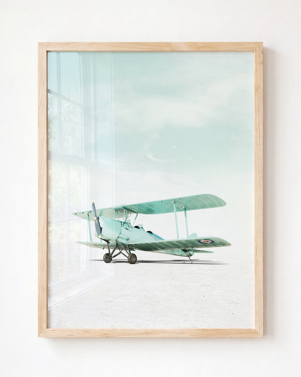 De Havilland Tiger Moth Airplane — Framed