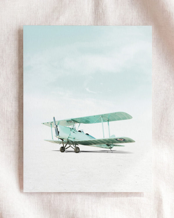 De Havilland Tiger Moth Airplane