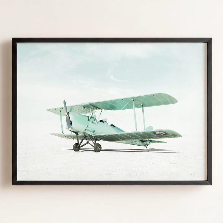 De Havilland Tiger Moth Airplane