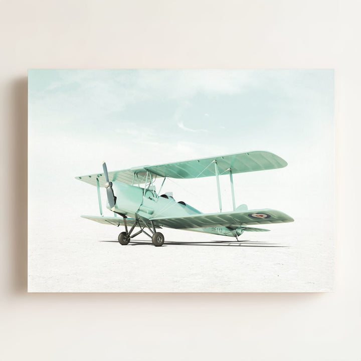 De Havilland Tiger Moth Airplane