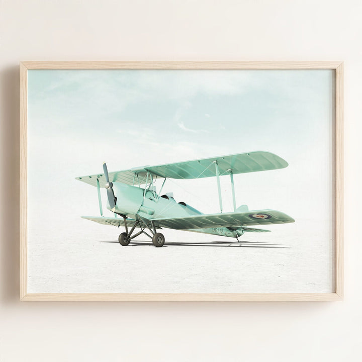 De Havilland Tiger Moth Airplane