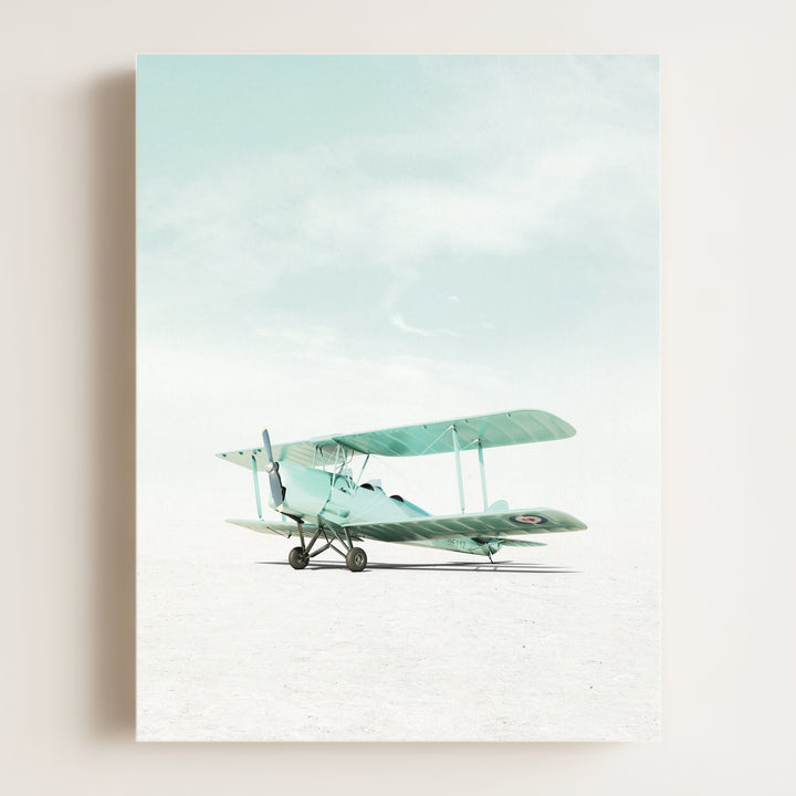 De Havilland Tiger Moth Airplane