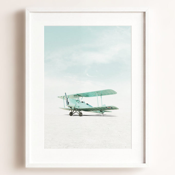 De Havilland Tiger Moth Airplane