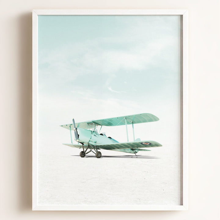 De Havilland Tiger Moth Airplane