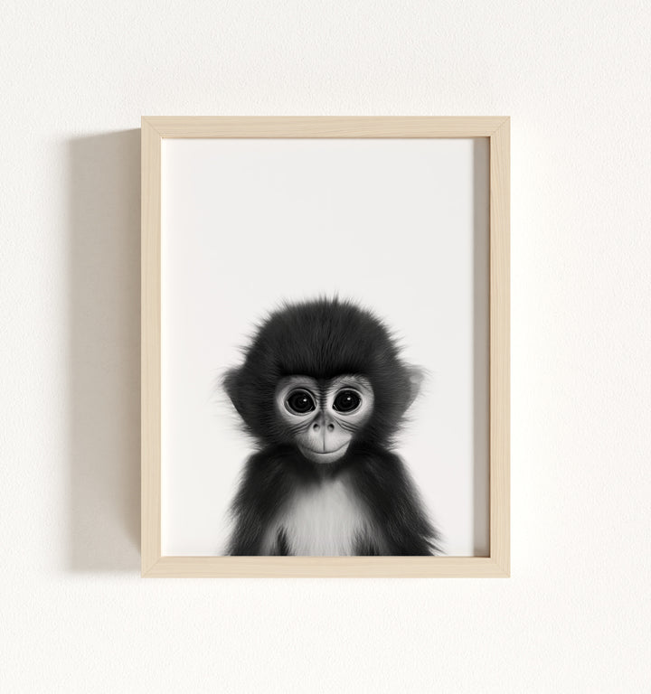 Baby Monkey Framed Art