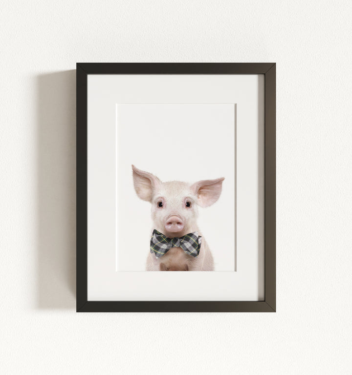 Baby Pig No. 2 Framed Art