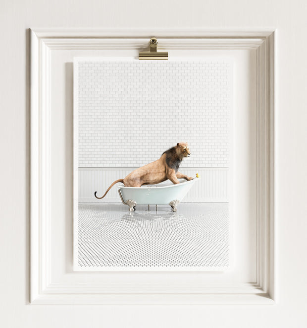 Lion in Blue Bathtub