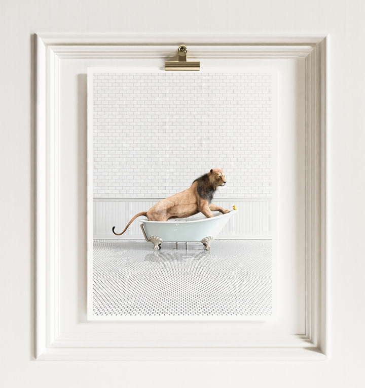 Lion in Blue Bathtub