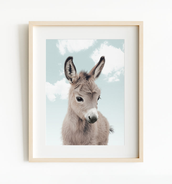 Baby Donkey