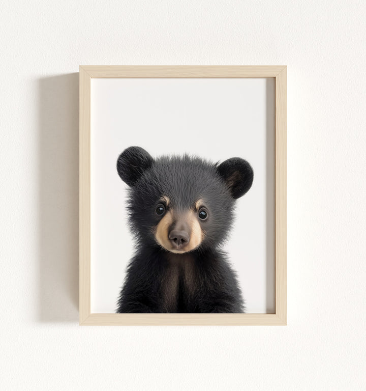 Baby Black Bear Framed Art