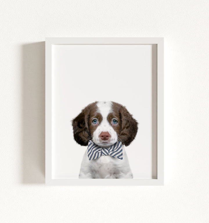 Baby Puppy Springer Spaniel Portrait Framed Art
