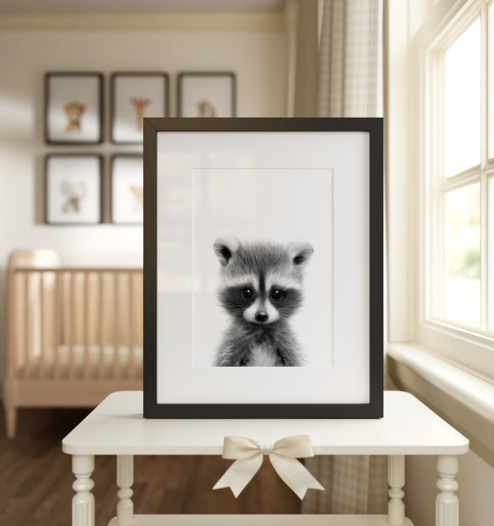Baby Raccoon Framed Art