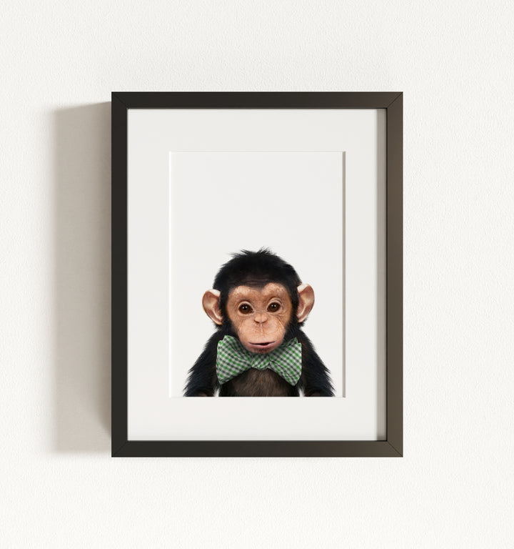Baby Chimpanzee Framed Art