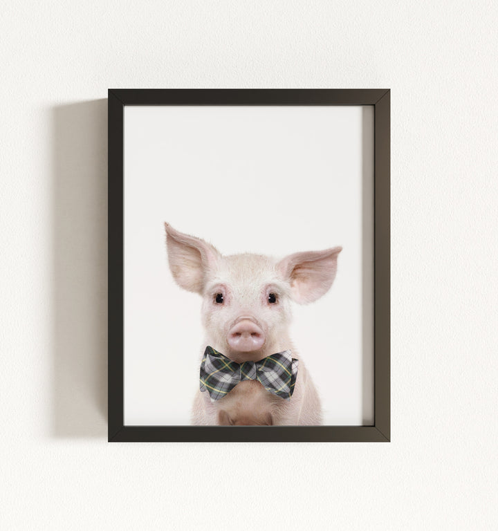 Baby Pig No. 2 Framed Art
