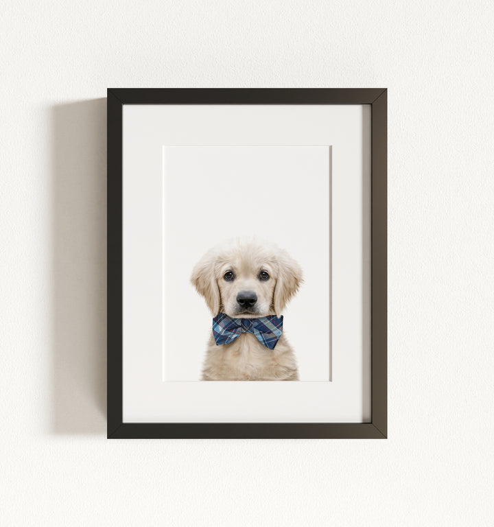 Baby Puppy Golden Retriever Portrait Framed Art