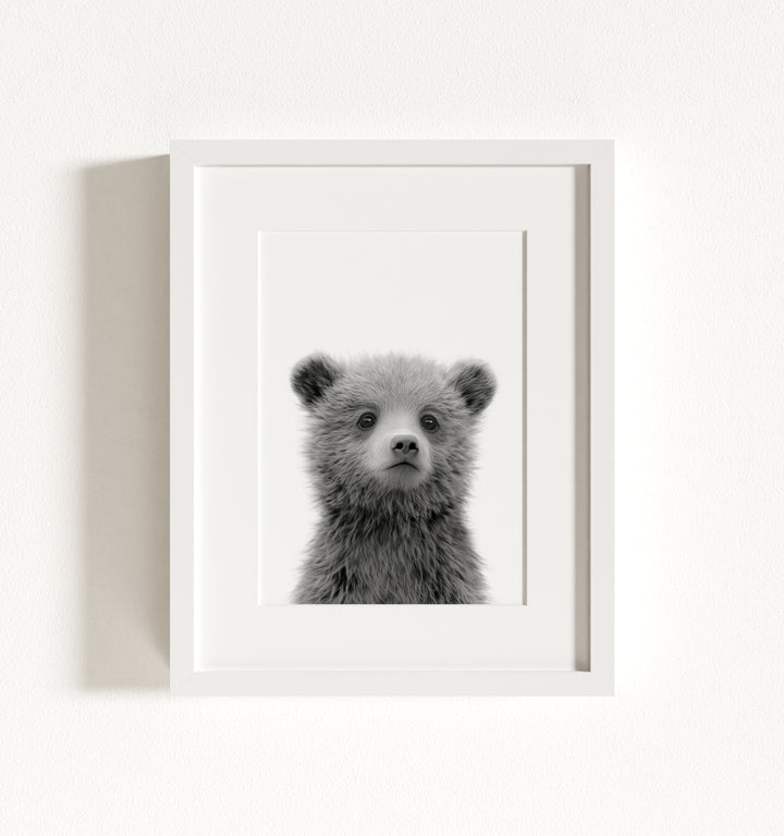 Baby Grizzly Bear Framed Art
