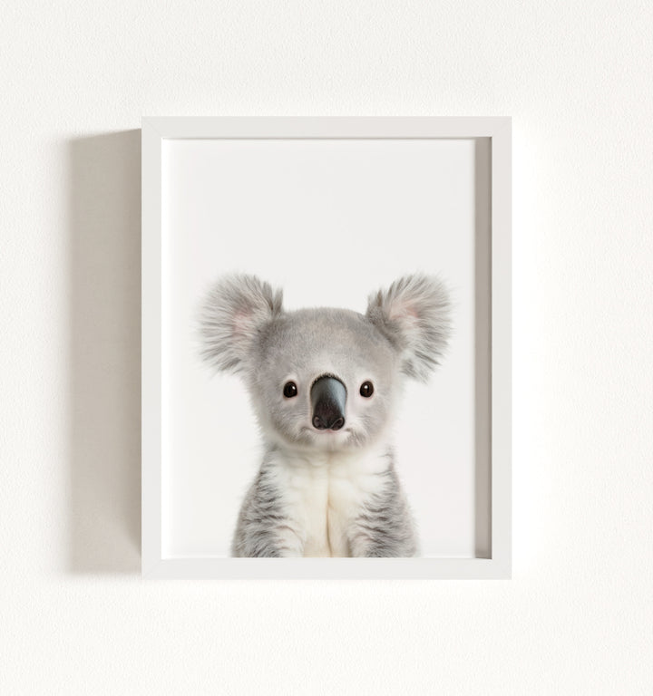 Baby Koala Framed Art