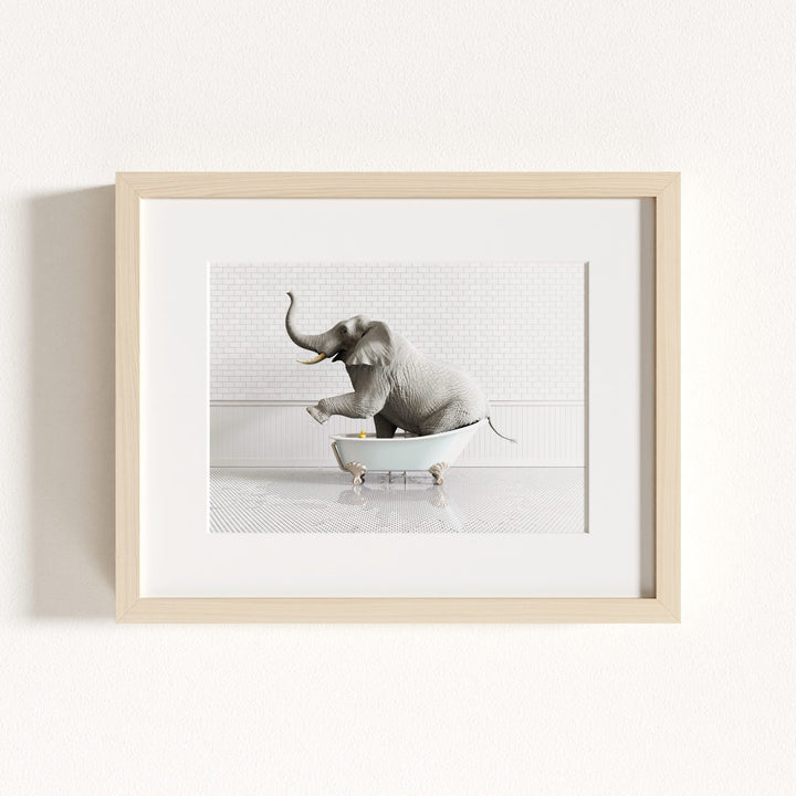 Elephant in Blue Bathtub