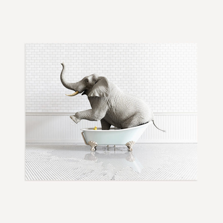 Elephant in Blue Bathtub