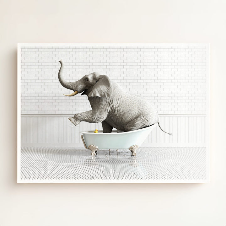 Elephant in Blue Bathtub