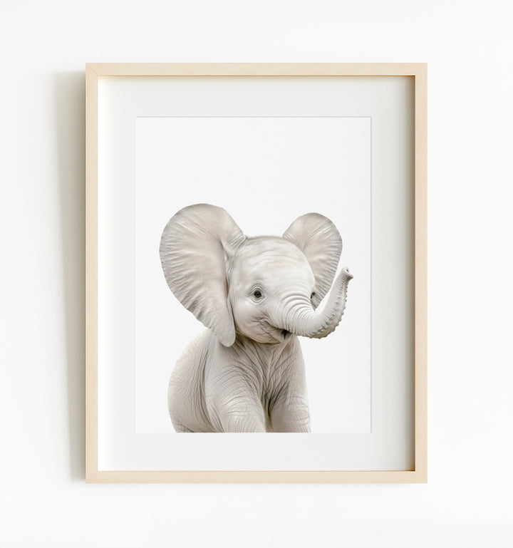 Baby Safari Animals Nursery Decor - African Animals Set of 6 Prints