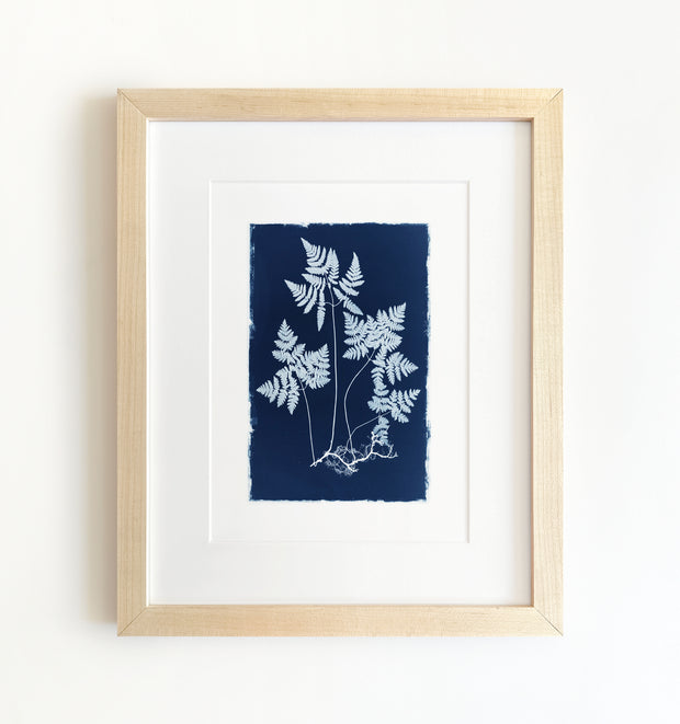 Botanical Cyanotype No. 2