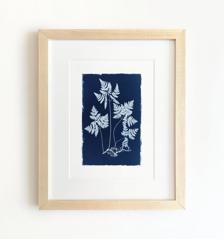 Botanical Cyanotype No. 2