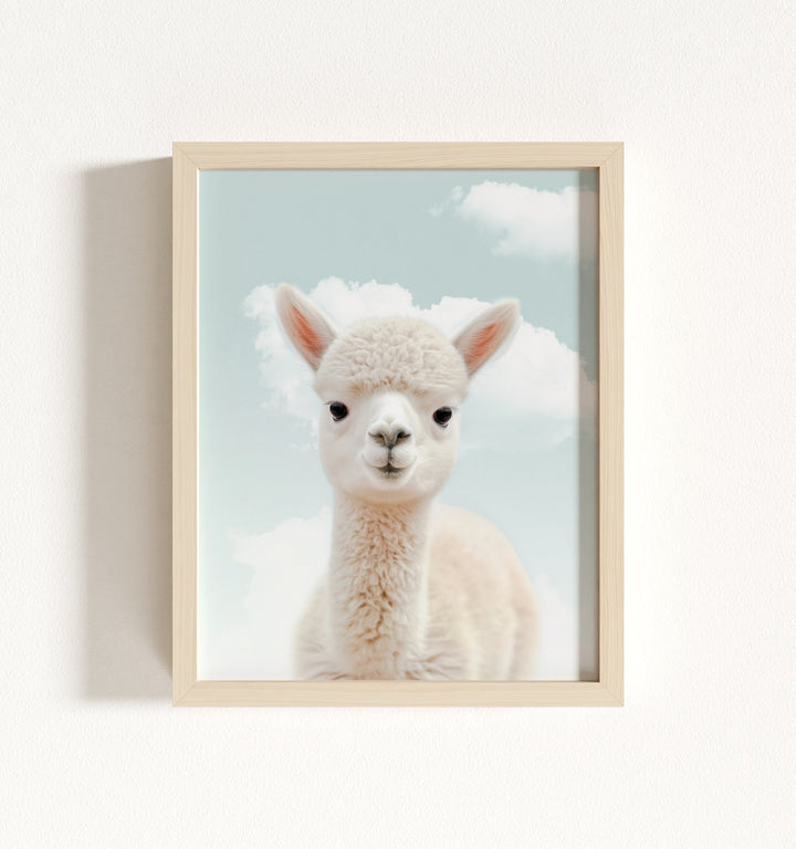 Baby Alpaca Framed Art