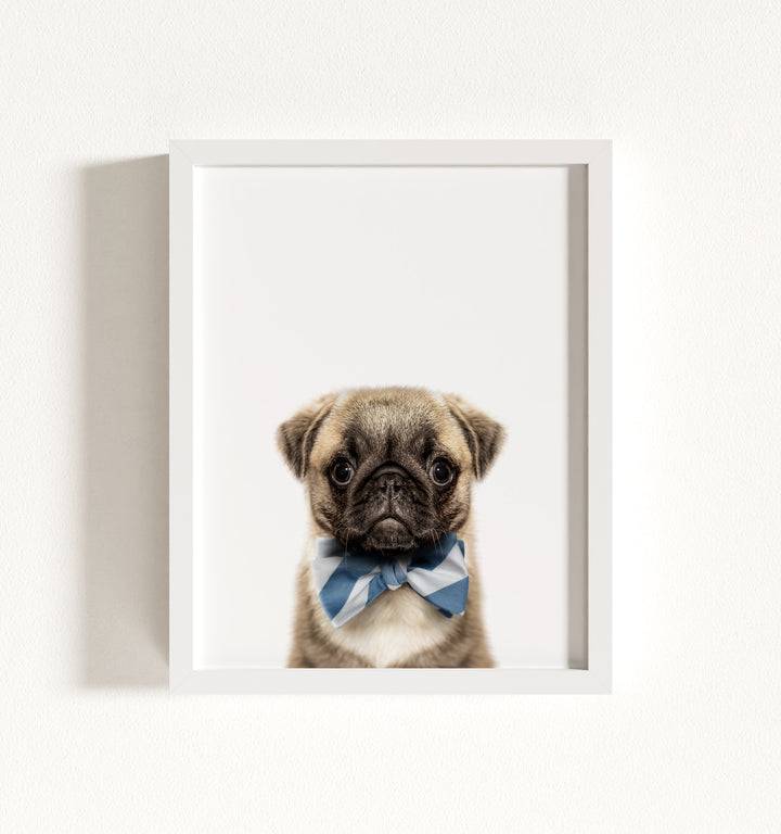 Baby Pug Puppy Framed Art
