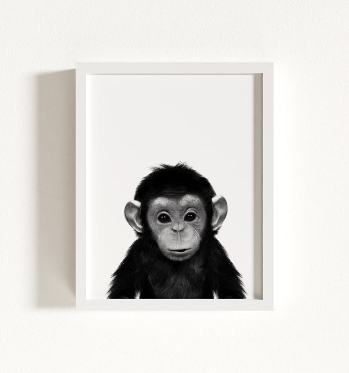 Baby Chimpanzee Framed Art